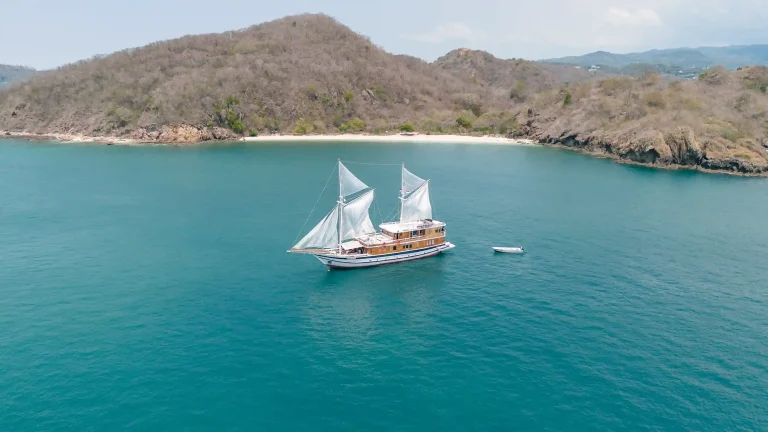 Catnazse Sailing Tour