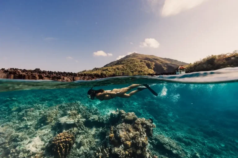 Komodo Snorkeling