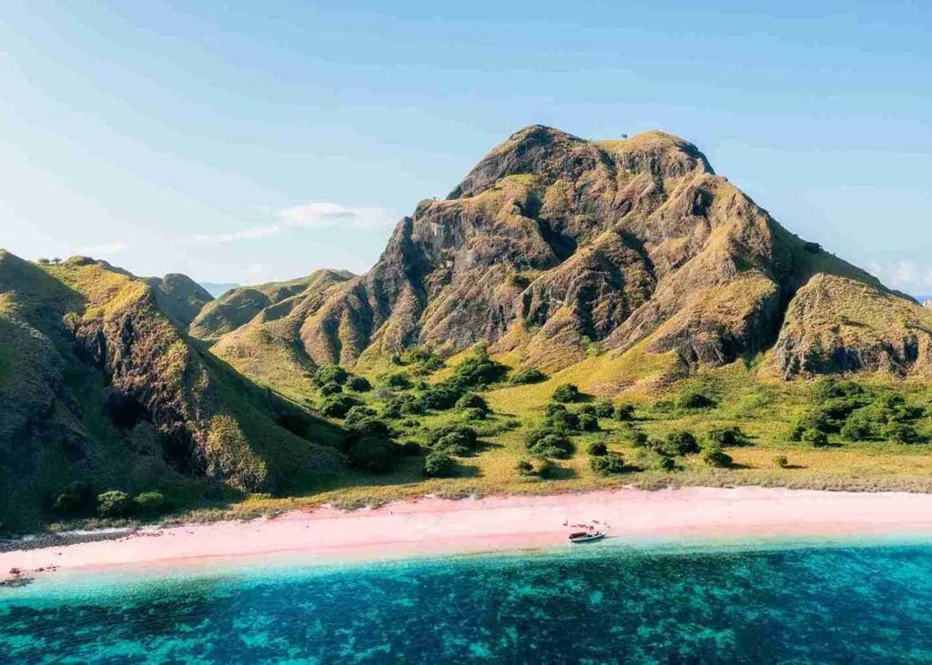 Best Time to Visit Komodo National Park