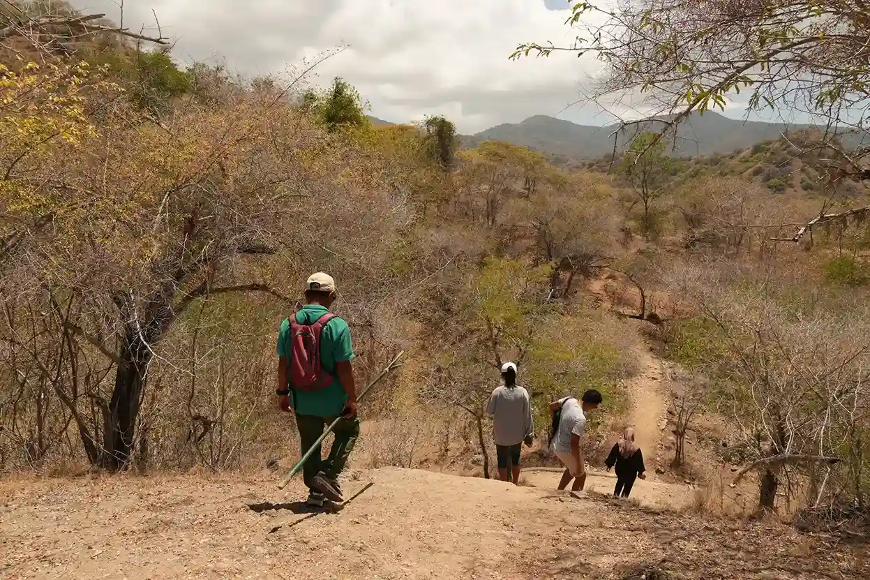 Trekking Routes, Terrain, and Wildlife Beyond Dragons